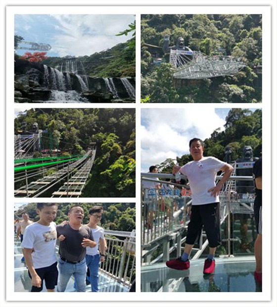 輕觸開關，輕觸開關廠家
